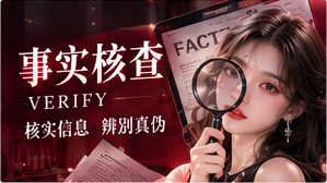 核查流程